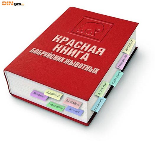 Красная книга Бобруйских жывотных